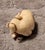 Chinese Antique Chinese Ivory Netsuke Pig - Ming/Quing Dynasty For Sale - Image 3 of 6