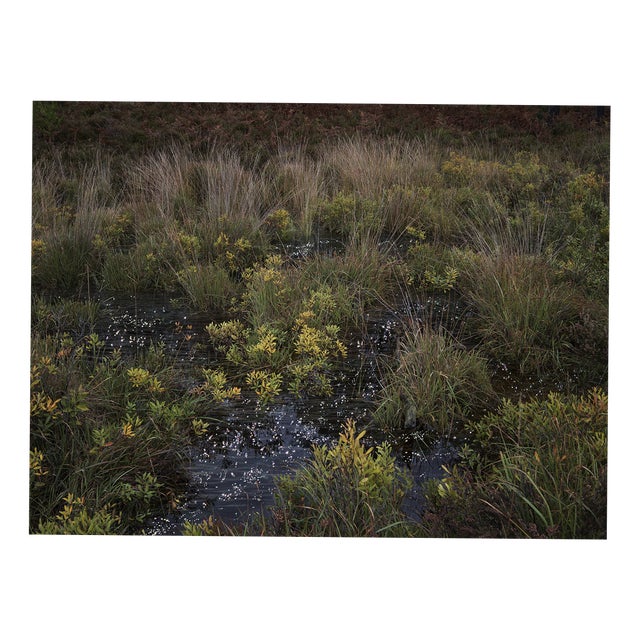 Ellie Davies, Seascapes 4, 2020, Print For Sale