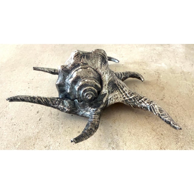 Ruzzetti and Gow Silvered Large Shell For Sale - Image 9 of 12