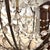 An elegant 19th century Italian Empire chandelier featuring a beautifully crafted giltwood and iron frame adorned with a...