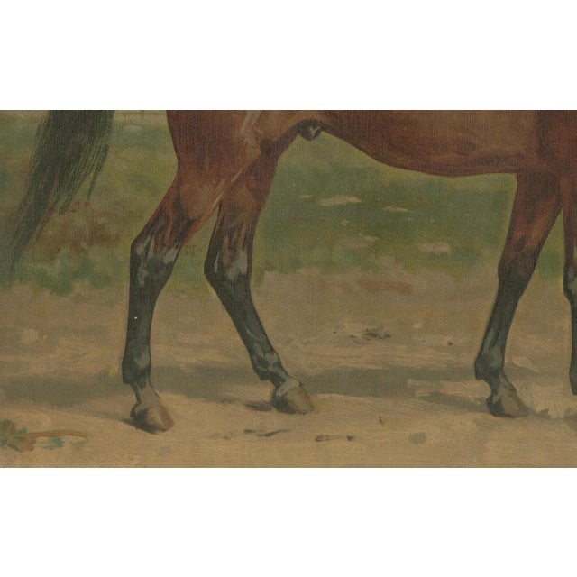 Ivory After Eerelman, East Prussian Trakehner Horse Portrait, 1898, Lithograph For Sale - Image 8 of 12