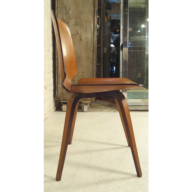 Stand out as you sit down in this wonderful single bentwood chair. Styled after the classic mid-century designs of Norman...