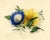 James Holland OWS, Morning Glory & Marguerite Daisy Flower, 1825, Watercolour For Sale - Image 4 of 4