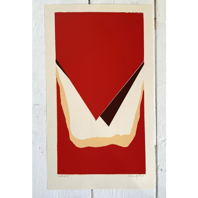 This silkscreen comes signed and Unframed. Barbara Beck Painter Printmaker Beck’s work is inspired by artist such as Helen...