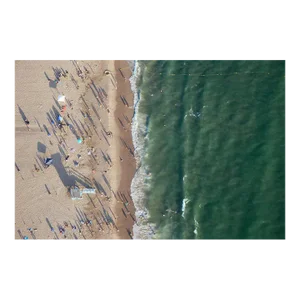 Beach I by Mike Kelley Print, 40" x 60"