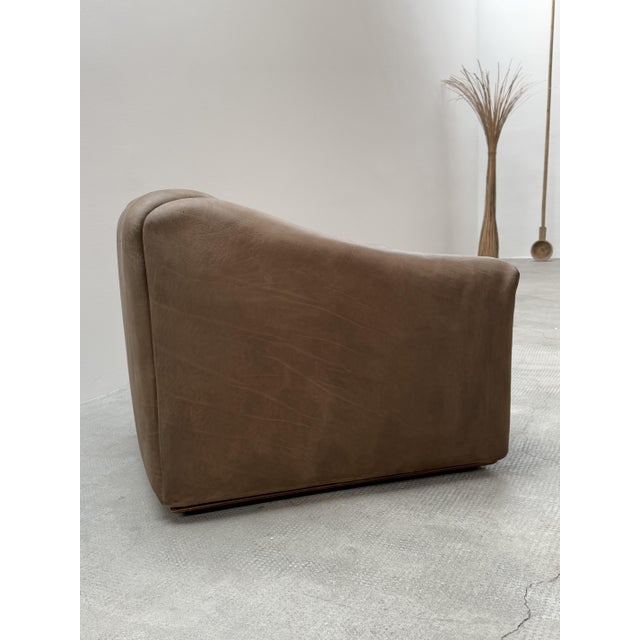 1970s Vintage Swiss DS-47 Chair in Buffalo Leather from De Sede, 1970s For Sale - Image 5 of 12