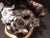 Don Hunt Survival of the Fittest Horse Limited Edition Bronze Sculpture H.Signed For Sale - Image 10 of 11