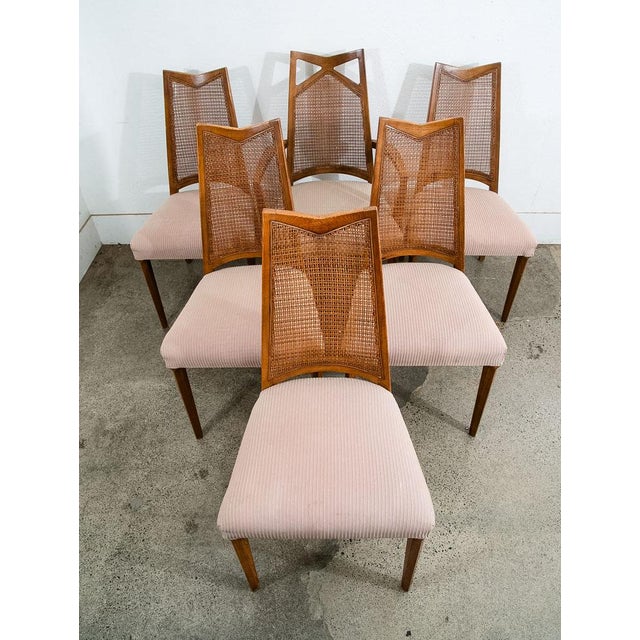 1960s Mid Century Modern Dining Chairs 6 Drexel Pinnacle Salmon Brown High Back Cane, Attributed For Sale - Image 11 of 11