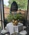 Traditional Vintage Large Scale Palm Beach Style Brass Nautilus Shell Planter For Sale - Image 3 of 17