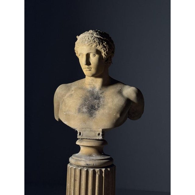 Unknown, Antinous Bust on pedestal, 20th Century, Stone For Sale - Image 14 of 18