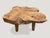 Wood Andrianna Shamaris Mid-Century Style Single Slab Coffee Table For Sale - Image 7 of 18