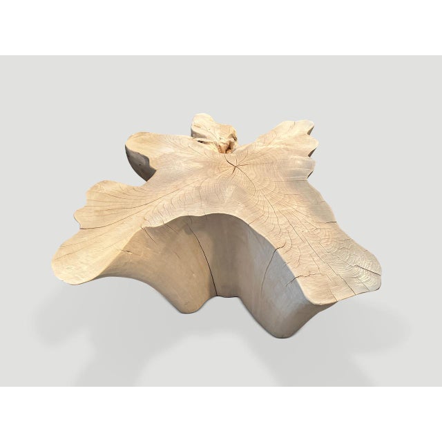 2010s Andrianna Shamaris Amorphous Bleached Teak Wood Coffee Table For Sale - Image 5 of 6