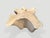 2010s Andrianna Shamaris Amorphous Bleached Teak Wood Coffee Table For Sale - Image 5 of 6