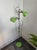 Apple Green Anvia Floor Lamp For Sale - Image 13 of 13