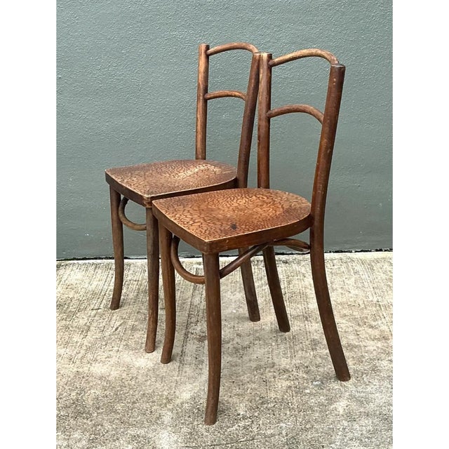 Vintage Carved Crocodile Wood Dining Chairs - A Pair For Sale In West Palm - Image 6 of 12