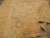 Galerie Shabab Collection Mid-20th Century Indian Amritsar Rug For Sale - Image 10 of 12