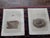 Realism Antique 19th Century Hand Colored Bird Nest & Egg Lithographs - Set of 12 For Sale - Image 3 of 9