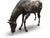 Bronze Grazing Horse Garden Sculpture For Sale - Image 9 of 17