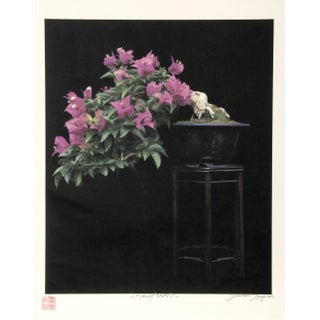 Imperial Series III, Jonathan Singer Digital Photo on Laid Paper, Signed and Numbered in Pencil For Sale