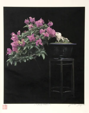 Imperial Series III, Jonathan Singer Digital Photo on Laid Paper, Signed and Numbered in Pencil