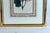 Pair of Hand-Coloured Botanical Engraving, Robert Sweet’s Geraniaceae: Pelargonium psilophyllum and Pelargonium fastuosum...