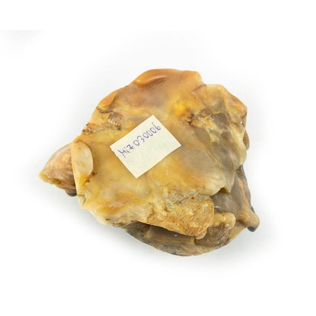 Mid-Century Glass Turtle Paperweight For Sale - Image 4 of 5