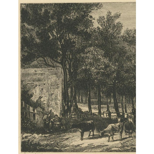 Chattock, Lane with Cattle After John Crome, 1875, Paper Etching For Sale - Image 4 of 9