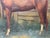Mid-Century British Equestrian Horse Portrait Attributed to Lionel Ellis, c.1950–60 For Sale - Image 10 of 18