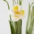 Potted Paper Narcissus, Handcrafted in Stockholm For Sale - Image 4 of 7