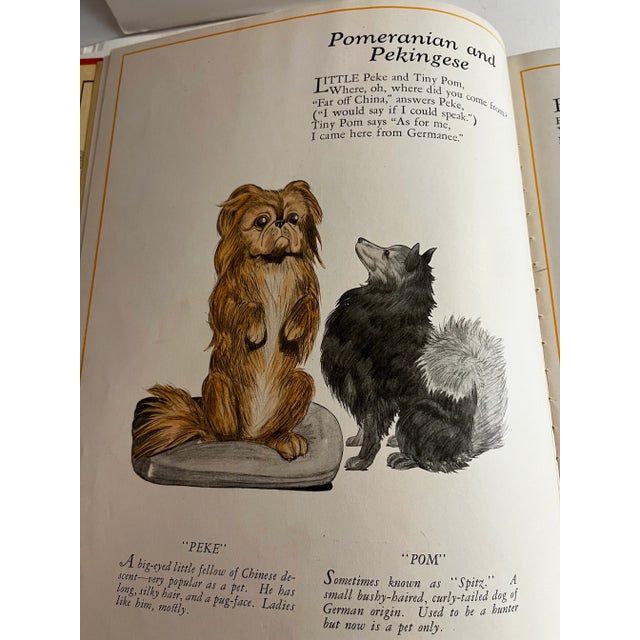 1927 Dogs by Julius King Book For Sale In New York - Image 6 of 13