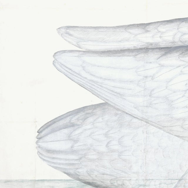 2020s Bewick's Swan Plate 1. By Olof Rudbeck For Sale - Image 5 of 8