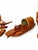 Mid 20th Century Set of Four Wooden Boat Models With Sails, Covered Boat and Hawaiian Outrigger For Sale In Las Vegas - Image 6 of 9
