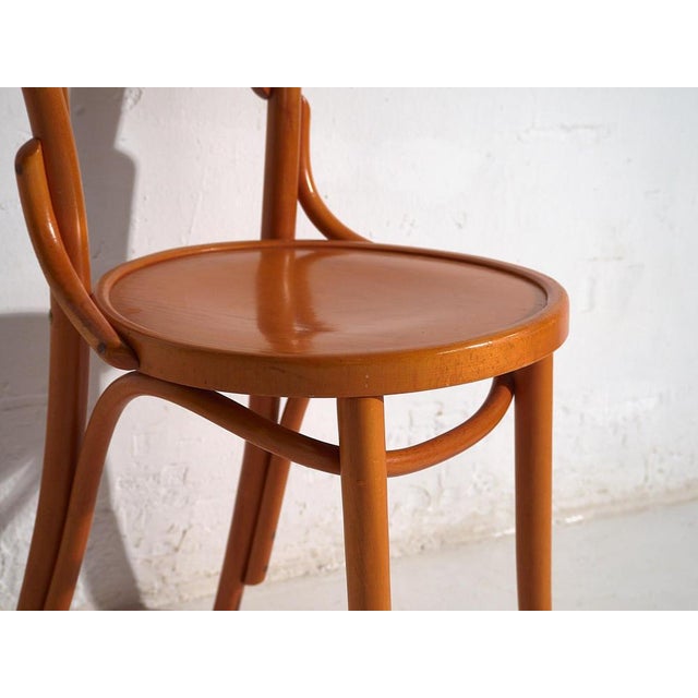 Chairs from Thonet, 1920s, Set of 4 For Sale - Image 9 of 17