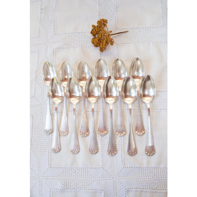 Coquille Table Spoons with Engraved Initials from Ercuis, 1950s, Set of 12 For Sale - Image 9 of 9