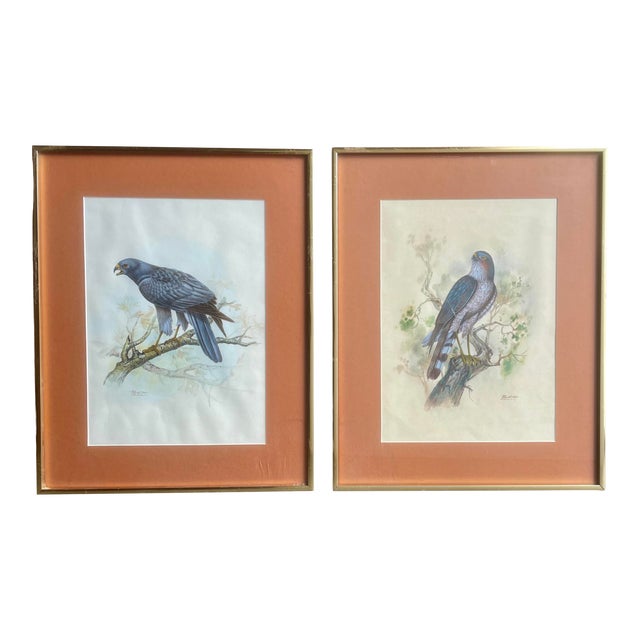 Vintage Watercolor Avian Animal Paintings, Signed & Framed Pair For Sale