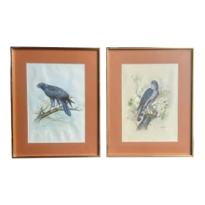 Vintage Watercolor Avian Animal Paintings, Signed & Framed Pair
