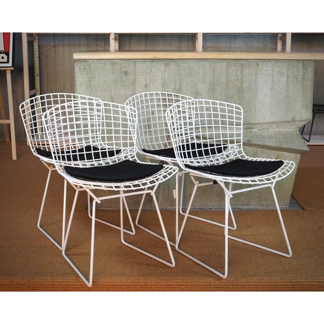 Bertoia Side Chairs with Cushion by Harry Bertoia for Knoll International, Set of 4 For Sale - Image 16 of 16