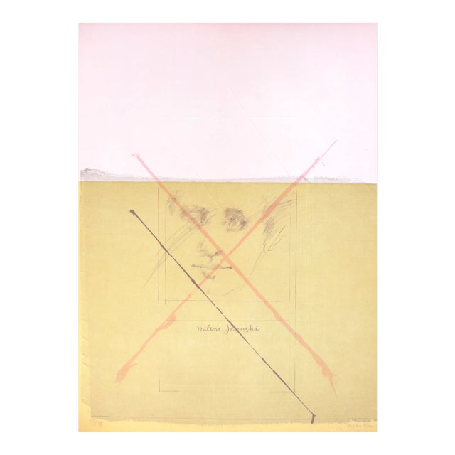 Embossed Lithograph on Vélin Guarro Paper by Roser Bru & Milena Jesenska, 1979 For Sale