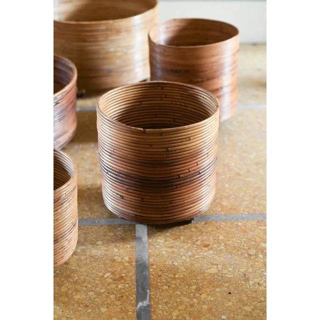 Vintage Garden Plates, Set of 5 For Sale - Image 6 of 10