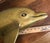 Vintage Mid-Century Solid Brass 21-Inch Leaping Dolphin Sculpture For Sale - Image 9 of 12