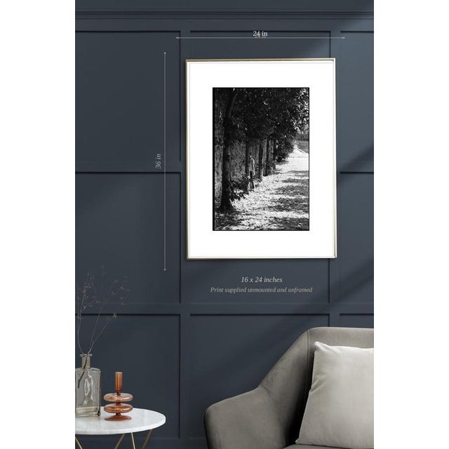 Contemporary Paul Cooklin, Treeline, Edition of 50 For Sale - Image 3 of 6