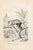 Langur is an original lithograph on ivory-colored paper, realized by Paul Gervais (1816-1879). The artwork is from The...