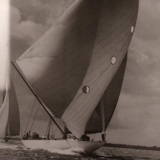 Beken of Cowes, Racing Yacht, Velsheda, 1934, Photographic Print, Framed For Sale - Image 9 of 15