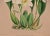 Late 19th Century Orchids" Framed 19th C. Hand-Colored Engraving of "Lycaste Harrisoniae" by Fitch, 1882 For Sale - Image 5 of 7
