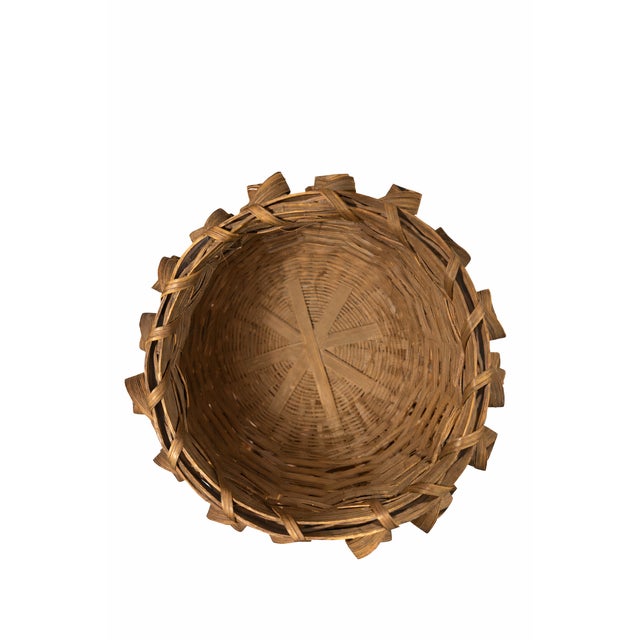 Contemporary 9 Inch Woodsplint Porcupine-Curl Decorative Basket, Ho-Chunk Style, C. 1950s–1970s For Sale - Image 3 of 9