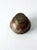 Metal Antique Elephant Claw Bell For Sale - Image 7 of 10