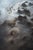 This artwork presents a meticulously crafted diorama that captures the intricate textures of sea ice, blending elements...