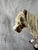Vintage Cheval Ceramics Appaloosa Pony Figure Spaghetti Effect Mane For Sale - Image 9 of 17
