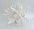 A stunning and exceptional specimen of natural Branch Coral mounted on an 8" x 8" x 1" polished acrylic base. While no two...