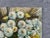 1980s Vintage Still Life Floral Oil Painting For Sale - Image 5 of 11